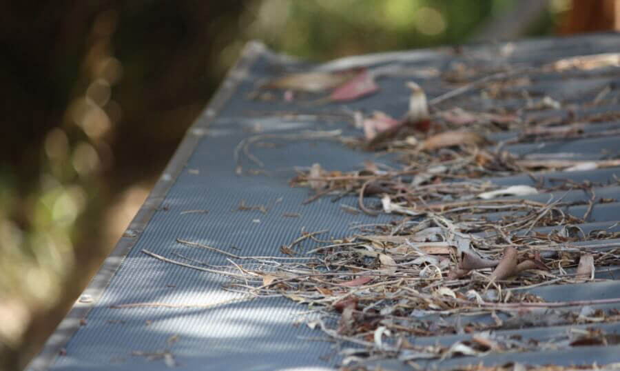img-1511-cropped.jpg